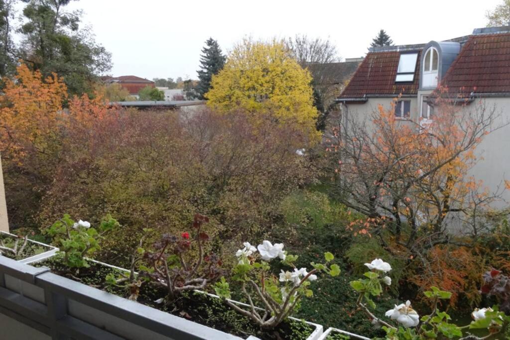 Schoene, Ruhige Wohnung In Berlin-Steglitz Buitenkant foto