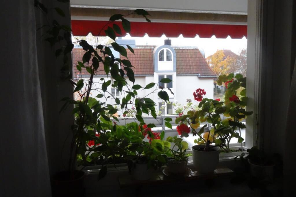 Schoene, Ruhige Wohnung In Berlin-Steglitz Buitenkant foto